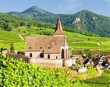 法国杯赛程积分榜 法国杯赛程积分榜